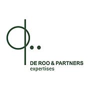 Logo of DE ROO & PARTNERS EXPERTISES